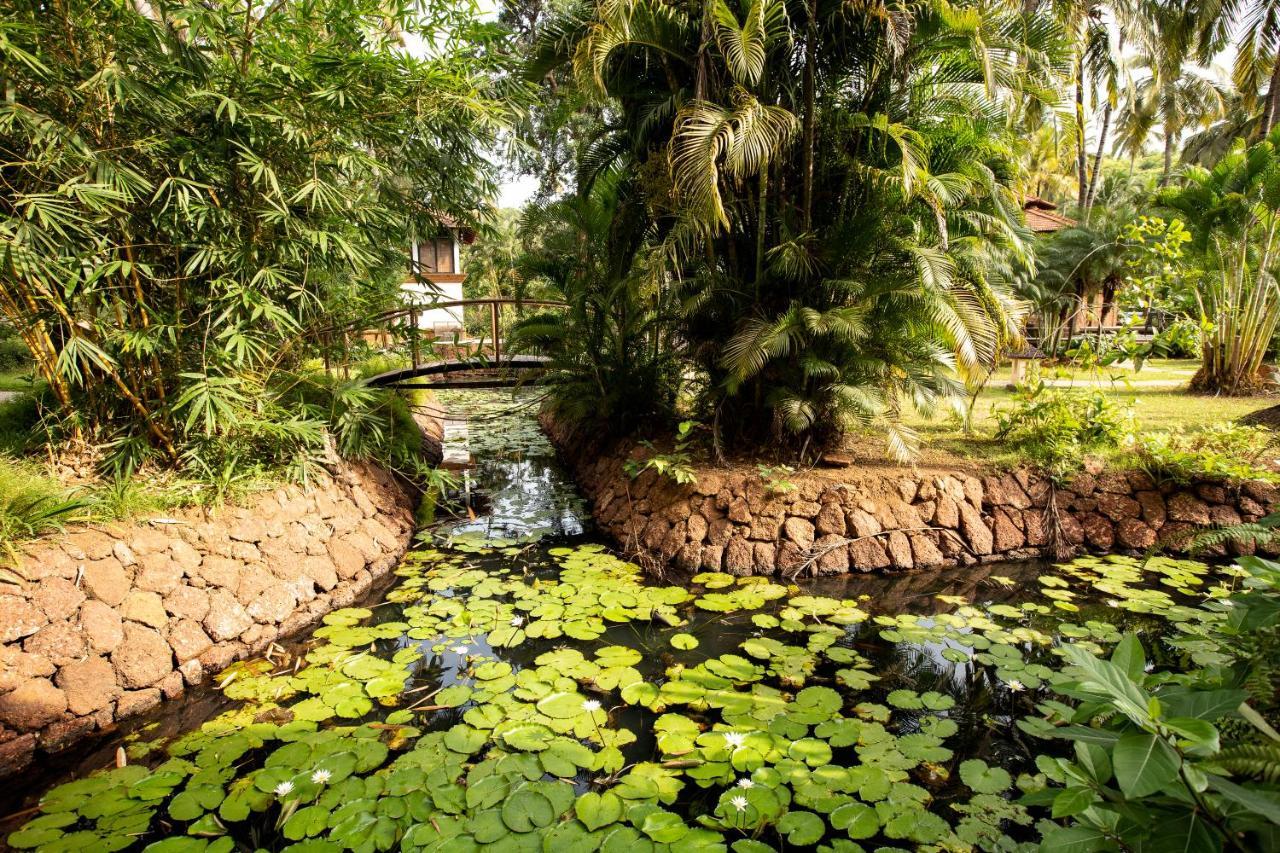 Coconut Creek Resort - Dabolim Airport Mormugao Extérieur photo